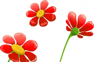 小红花插图矢量图