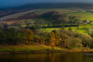 农场田野河流房屋绵羊山丘树林4K高清3440x1440带鱼屏风景壁纸免费下载
