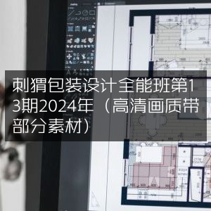 2024年刺猬包装设计全能班13期（含高清素材）