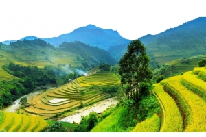 山上梯田高清PNG透明免扣设计素材免费下载