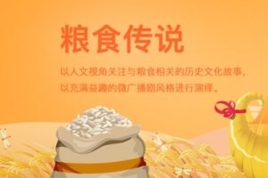 粮食食品banner广告