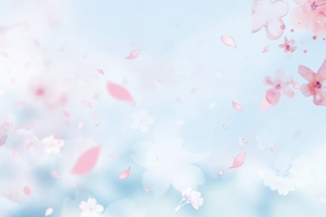 樱花节主题海报背景
