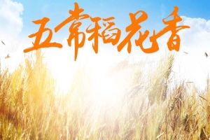 五常稻花香大米促销主图
