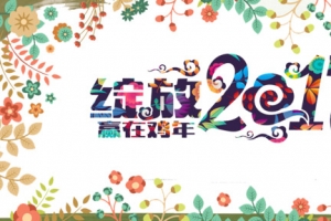 绽放2017年
