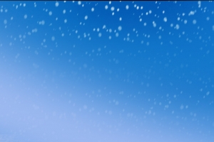 雪松背景