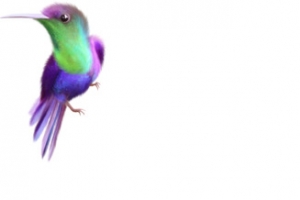 小鸟飞翔可爱唯美