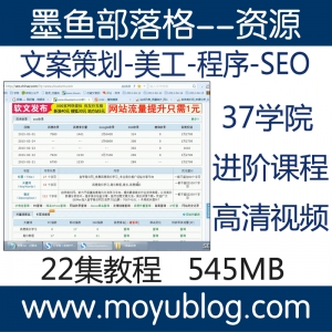 文案策划至SEO进阶，一站式视频课程，涵盖美工与程序技巧