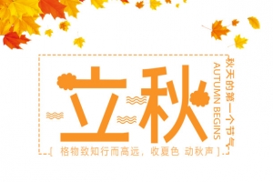 秋天立秋树叶手绘人物田地