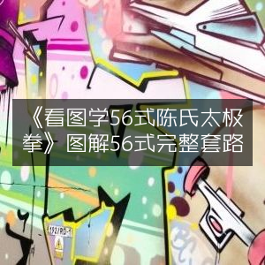 《图解56式陈氏太极拳，完整套路一看即会》