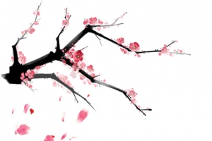 粉色桃花