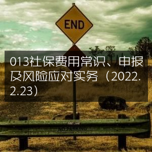 2022年2月23日社保费用详解，申报流程与风险应对策略
