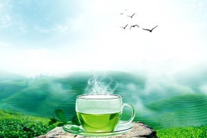 清新绿色茶园春茶上市海报背景素材
