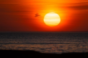 日落 大海 太阳 海浪 黄昏 地平线 4k壁纸 3840x2160