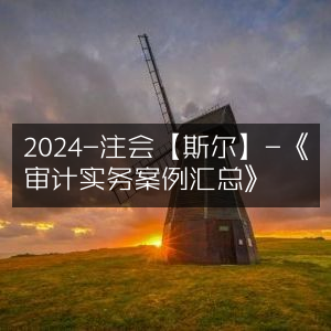 2024注会斯尔精编《审计实务案例大全》