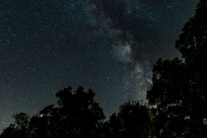 星空 银河 树木 夜晚 星星 4k壁纸 3840x2160