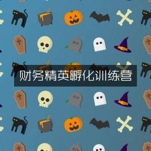 财务精英高效培育训练营
