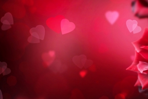 爱情情人节红色玫瑰浪漫花瓣背景banner