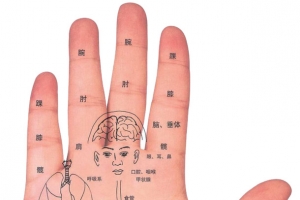 手部穴位素材图