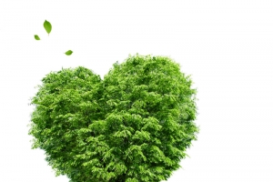 爱心绿树公益海报