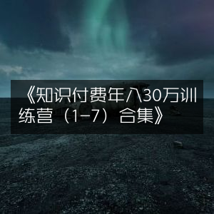 《知识付费盈利秘籍，30万年收入训练营1-7期全集》