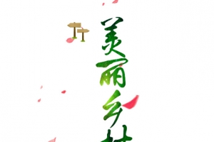 建设新农村
