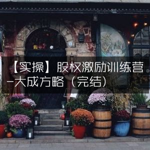 实操指南，大成方略股权激励训练营（已完结）