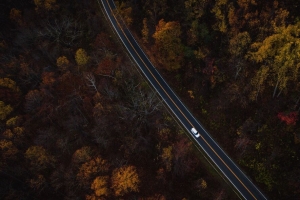 汽车 道路 俯视 树木 4k壁纸 3840x2160