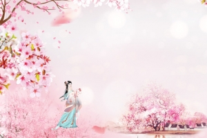 阳春三月樱花盛开背景