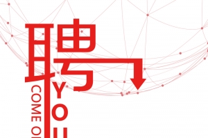 招聘季找工作简约