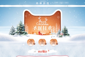 圣诞狂欢白色雪景冬装店铺首页