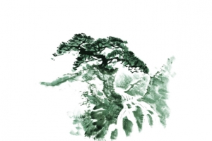 手绘松树