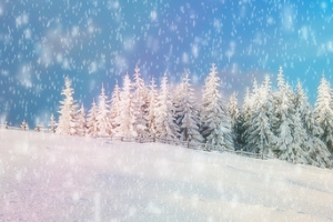 轮播banner 背景海报