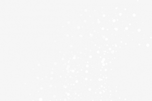 冬季雪花傲雪素材