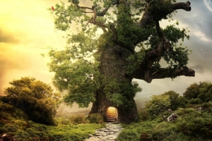 林间小路树屋背景