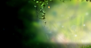 化妆品春季主题banner