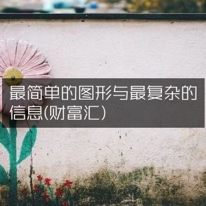 图形简至极致，信息繁至深奥（财富汇）| 提升个人能力的必备书籍
