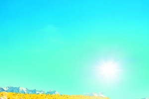 粮油店蓝田白云油菜花田背景