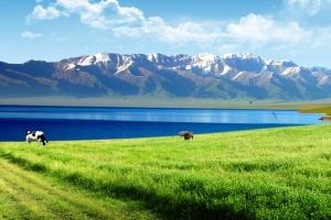 风景背景