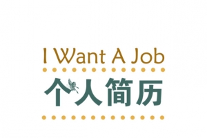 暖色简约简历