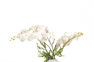 陶瓷花瓶