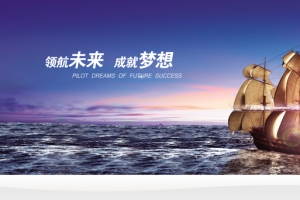 领航未来企业文化