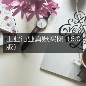 工业会计真账实战6.0版
