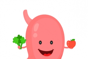 肠胃 肠胃健康 胃