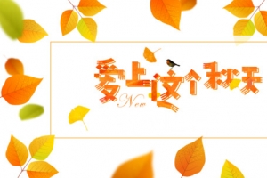 秋季爱上这个秋天树叶边框