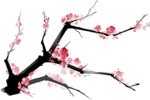 古风手绘梅花枝