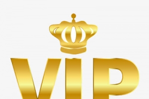 VIP会员的标志