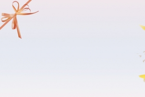 鲜花简约白色banner