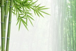 绿色竹林油漆竹炭PSD分层主图背景素材