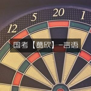 国考言语专家，葛欣