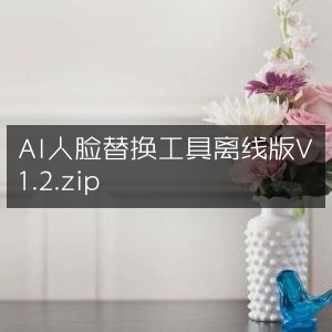 AI人脸替换软件离线版V1.2下载.zip